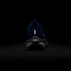 Nike Youth Pegasus 40 Running Shoe - Game Royal/White/Deep Royal - Regular (D) 13 Nike Youth Pegasus 40 Running Shoe - Game Royal/White/Deep Royal - Regular (D) -Love Running AURORA DX2498 400 PHSBH200 2000